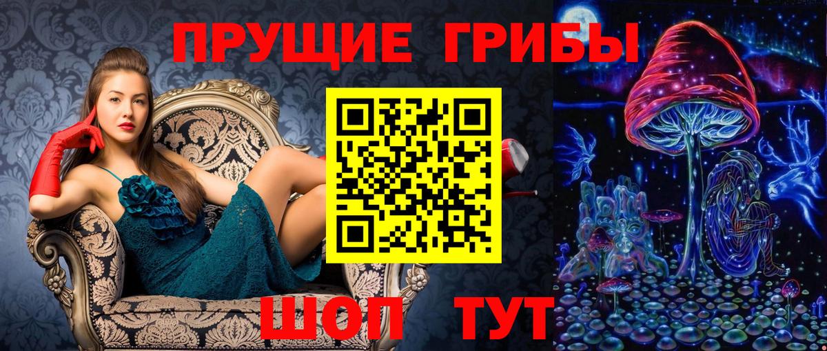 Псилоцибиновые грибы мицелий  цены наркотик  Псилоцибиновые грибы ЛСД  Донской  Вход с VPN 